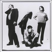 Shine - List pictures