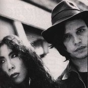 The Gun Club - List pictures