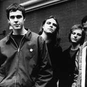 Quicksand - List pictures