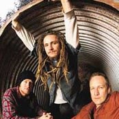 John Butler - List pictures