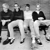 Braid - List pictures