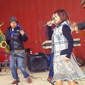 Dengue Fever - List pictures