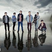 Willow - List pictures