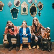 Dewolff - List pictures