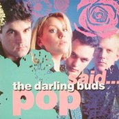 The Darling Buds - List pictures