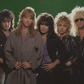 Great White - List pictures