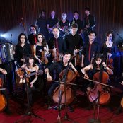 Mother Falcon - List pictures