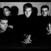 Zyon - List pictures