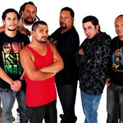 House Of Shem - List pictures