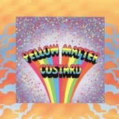 Yellow Matter Custard - List pictures