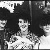 Marine Girls - List pictures