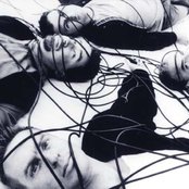 Mutton Birds - List pictures