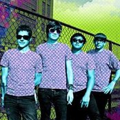 Pink Spiders - List pictures