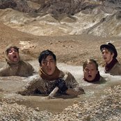 Grizzly Bear - List pictures