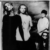 The Cranes - List pictures