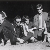 The Jazz Butcher - List pictures