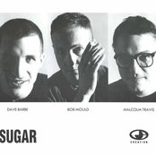 Sugar - List pictures