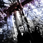 Scream Silence - List pictures