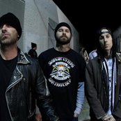 Transplants - List pictures