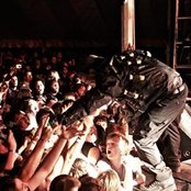 Austrian Death Machine - List pictures