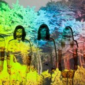 Youngblood Hawke - List pictures