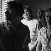 Kiscsillag - List pictures