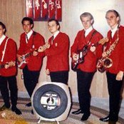 The Surfaris - List pictures