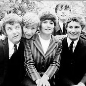 The Honeycombs - List pictures