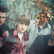 Wild Beasts - List pictures