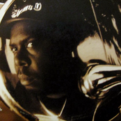 King T - List pictures