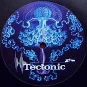 Distal - List pictures