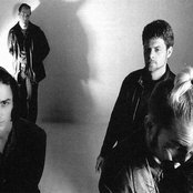 Mad Season - List pictures
