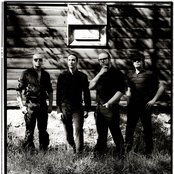 Viikate - List pictures