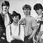 V.i.p. - List pictures