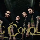 King Conquer - List pictures