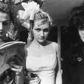 Slits - List pictures