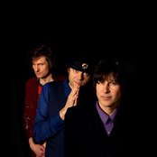 22-pistepirkko - List pictures