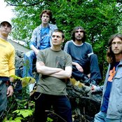 Grim Skunk - List pictures