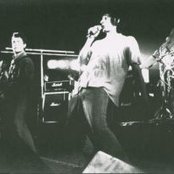 La Polla Records - List pictures