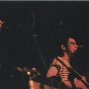 Tigercats - List pictures