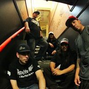 Sprung Monkey - List pictures