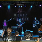 The Head Cat - List pictures