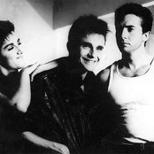 Mecano - List pictures