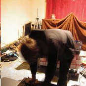 Algiers - List pictures