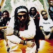 Ill Niño - List pictures