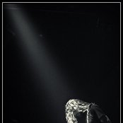 Unleashed - List pictures