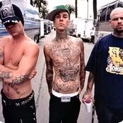 Transplants - List pictures