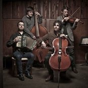 Monarch - List pictures