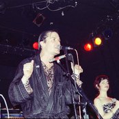 Lovage - List pictures