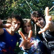 Wings - List pictures